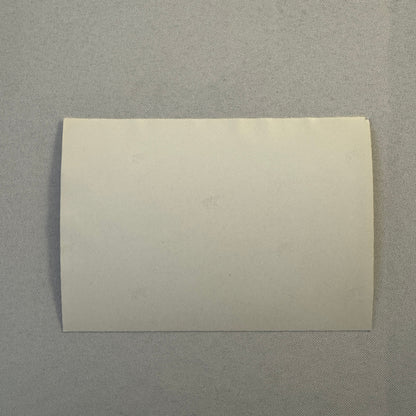 Vintage Porsche 911 Car with Sand Dune Trucks Photo Photograph