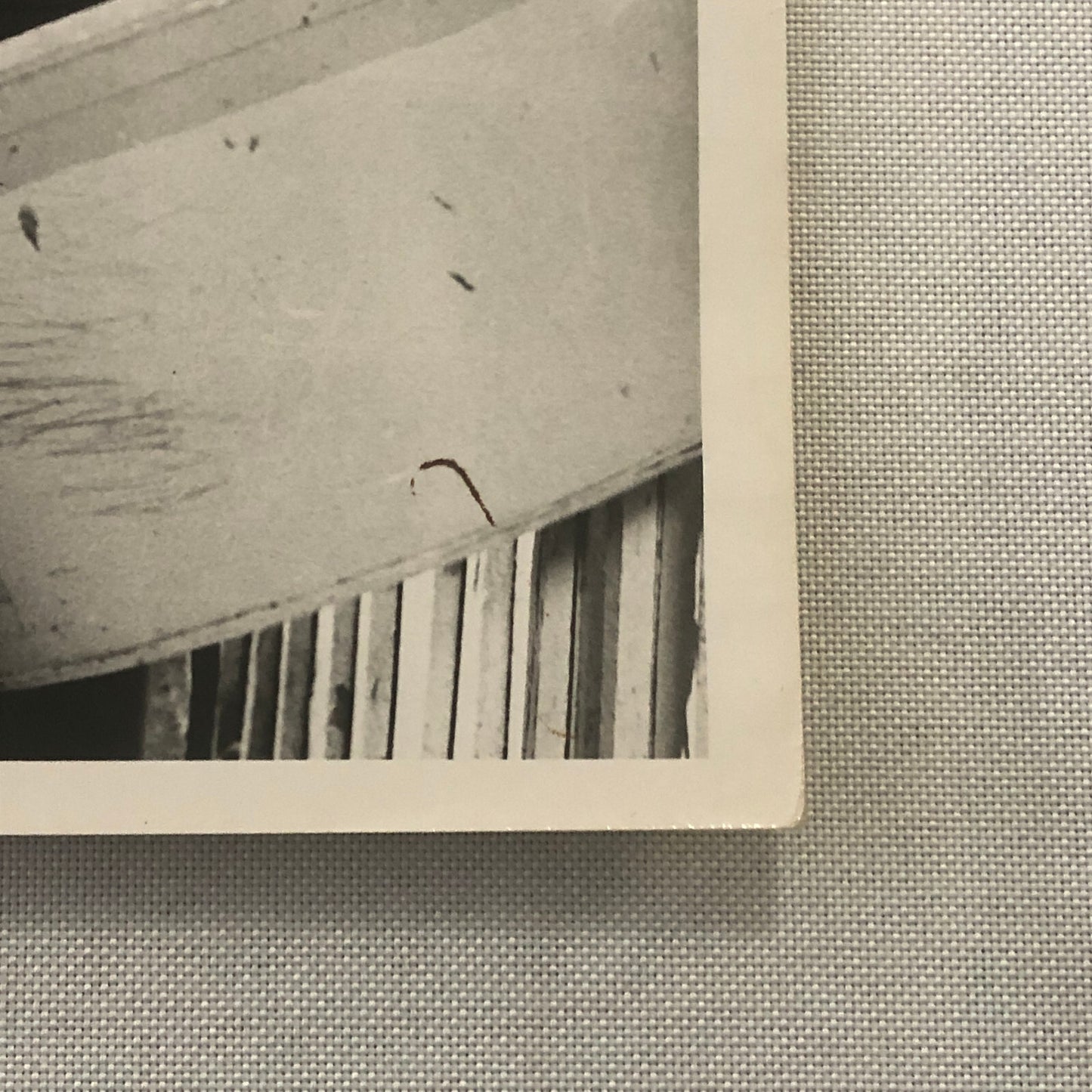 Vintage Horse Racing Photo Photograph Queens Own John Delisle