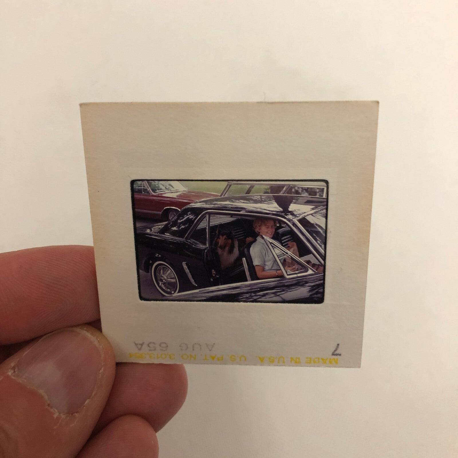 35MM Slide Photo Ford Mustang with Woman and Dog