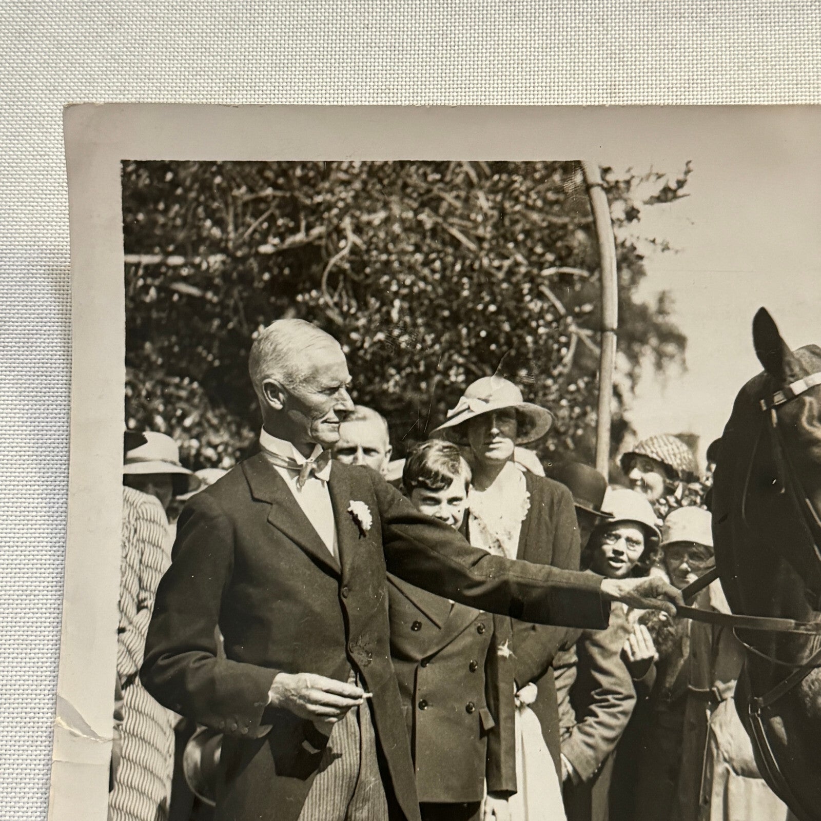 1934 Wedding Press Photo Photograph Horses British Nobles