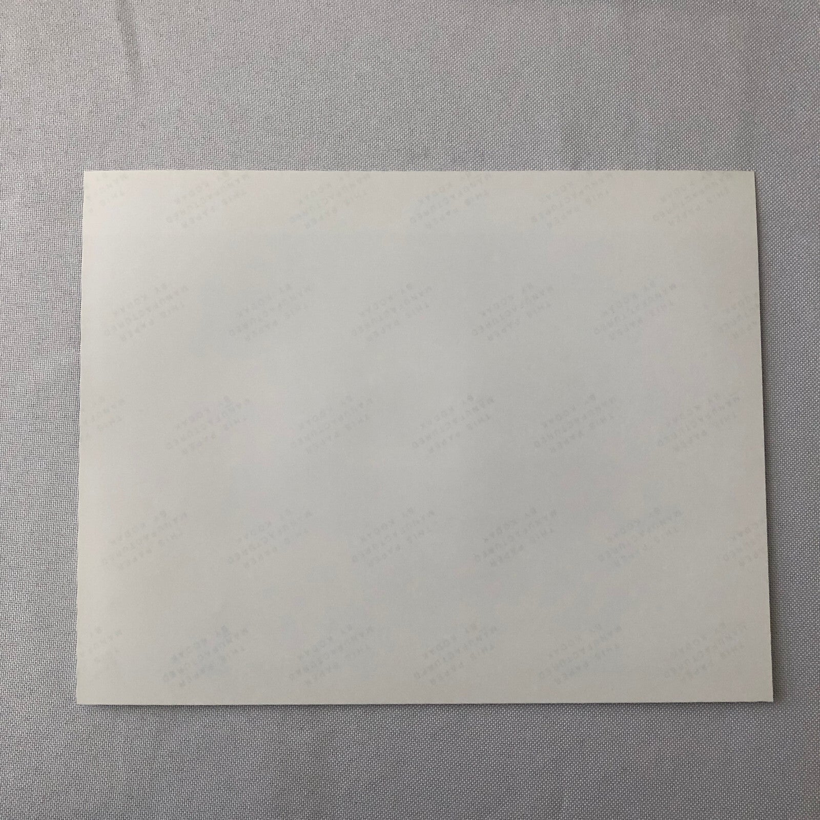 Vintage Indy Indianapolis Racing Photo Photograph Alfa Romeo March Formula 1990