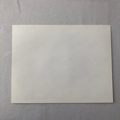 Vintage Indy Indianapolis Racing Photo Photograph Alfa Romeo March Formula 1990