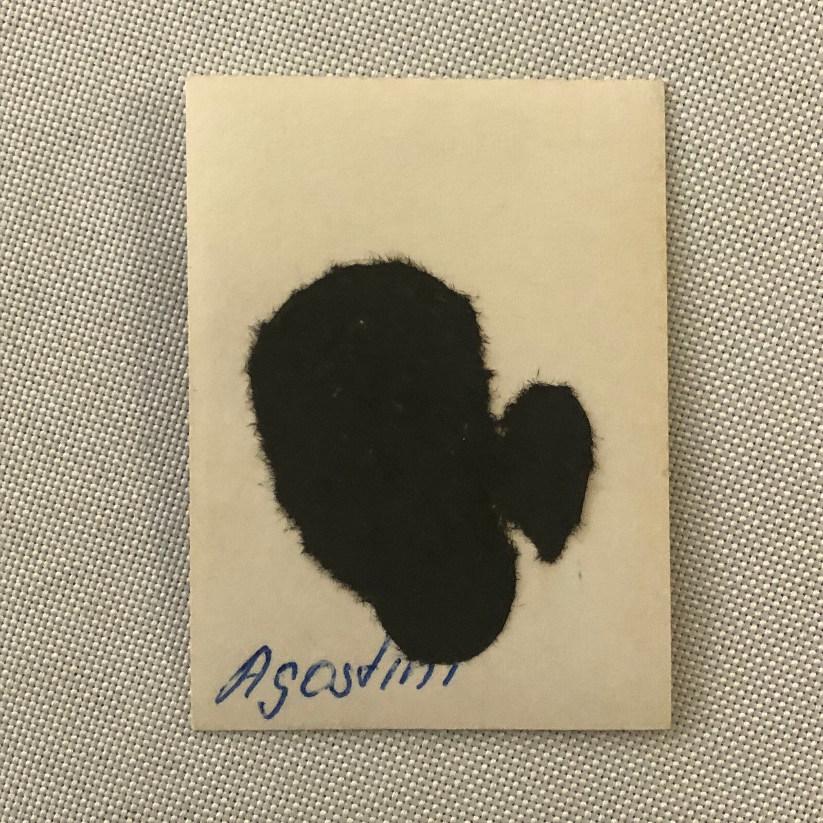 Vintage Motorcycle Racing Photo photograph Snapshot Giacomo Agostini Yamaha