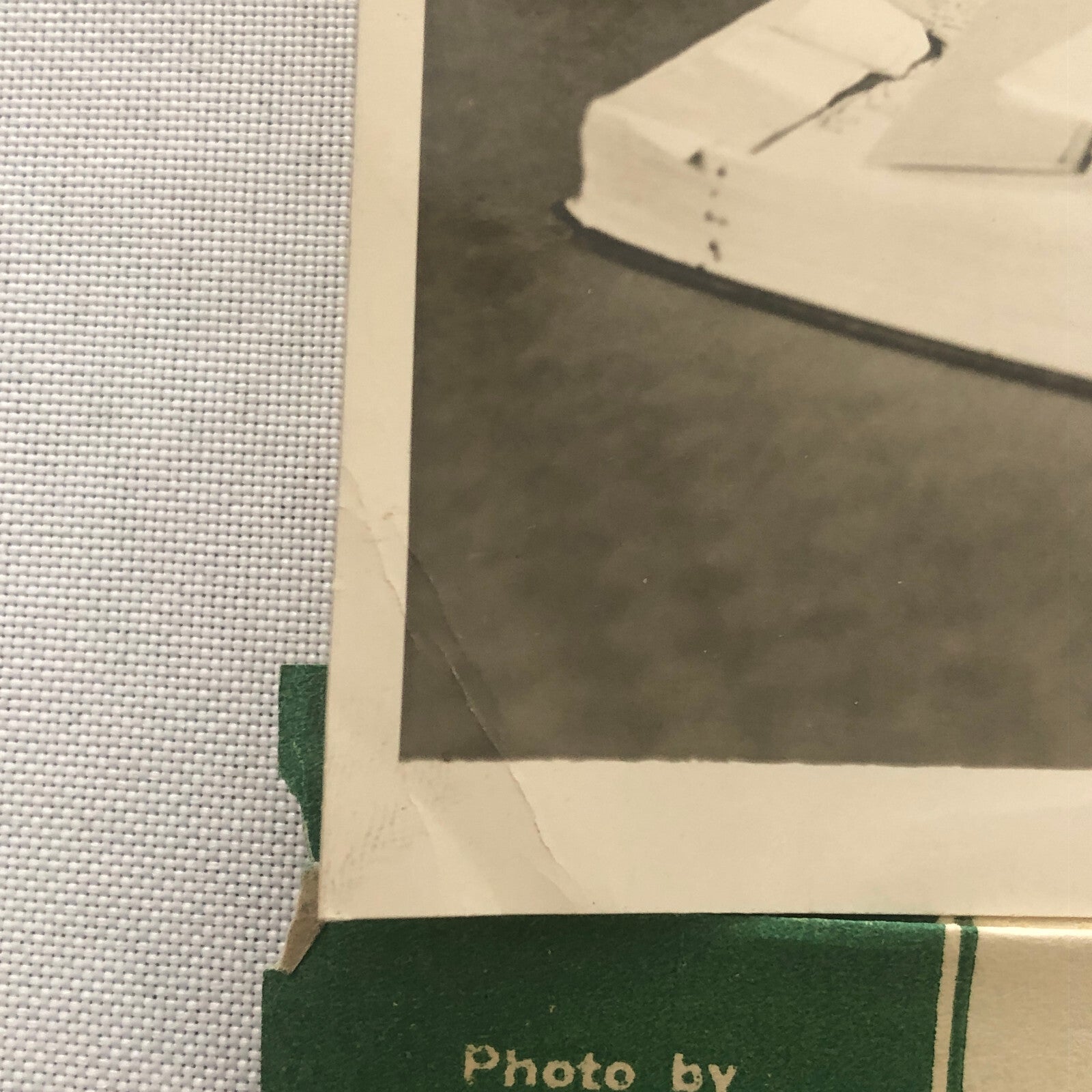 Press Photograph Photo Chicago Academy of Sciences Museum Director Film