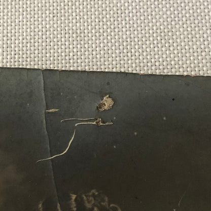 Circus Performer Dancer Dancing Real Photo Postcard Post Card RPPC Vintage