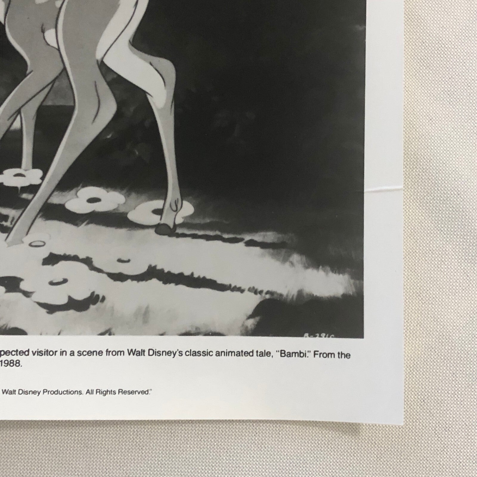 Bambi Flower Thumper Movie Film Re-Release Press Photo Photograph Walt Disney