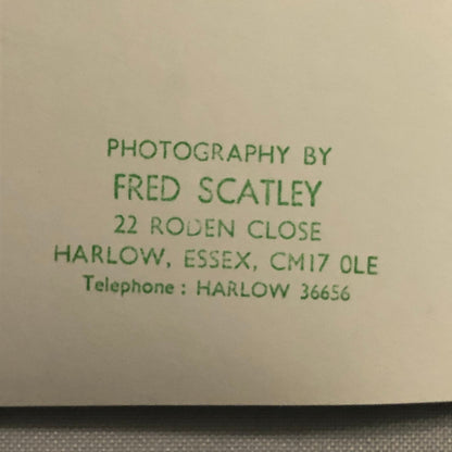 Vintage Porsche 924 Snetterton Racing Photo Photograph Desiree Wilson AFN Ltd