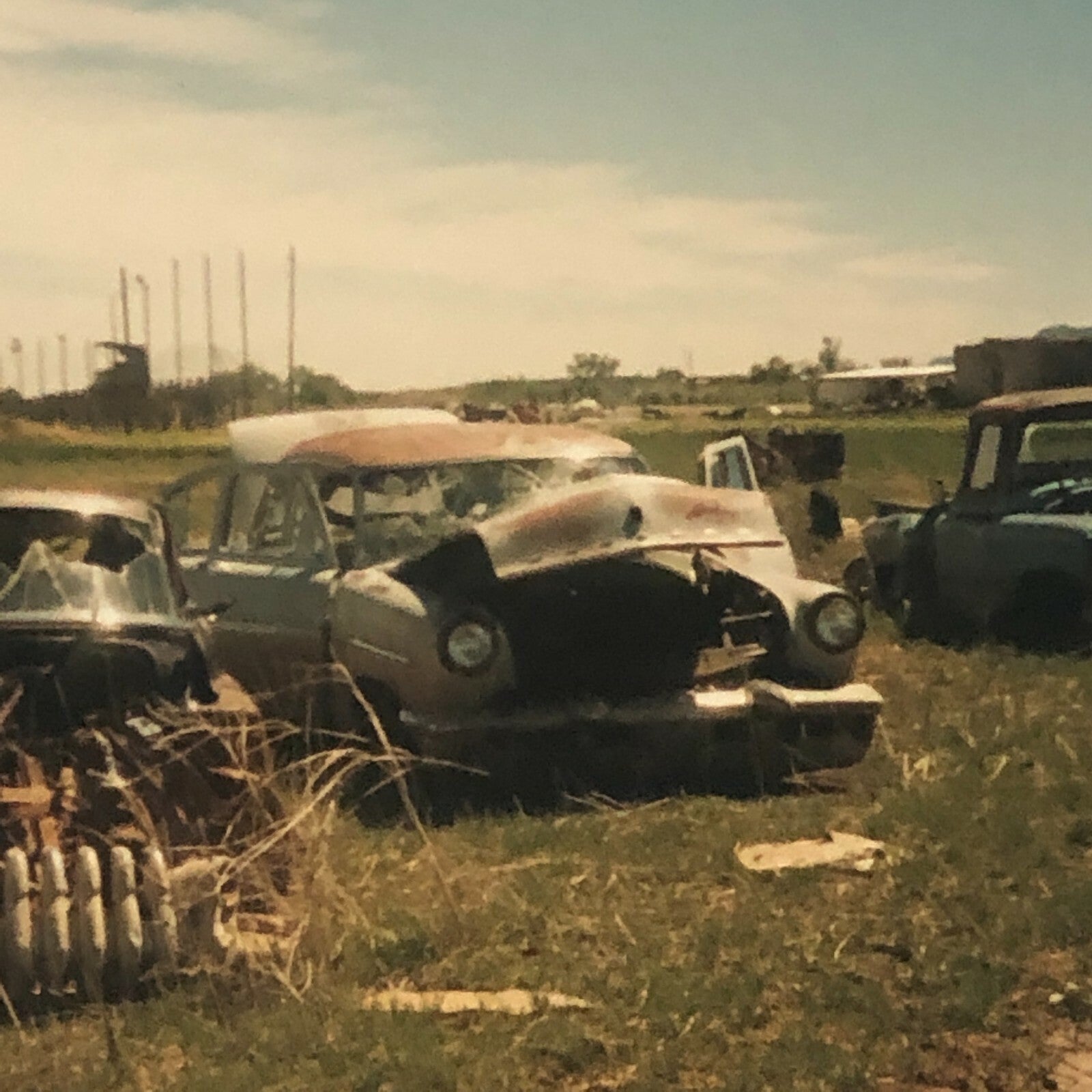 Vintage Junkyard Car Photo Photograph Print - 1950 Buick Special + 