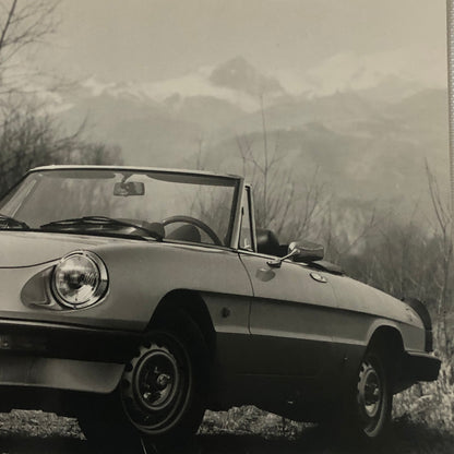 Alfa Romeo Spider Car Photo Photograph Print