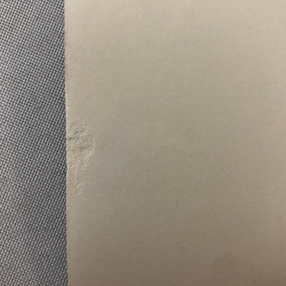 Vintage Motorcycle Sidecar Racing Photo photograph Germany Side Car