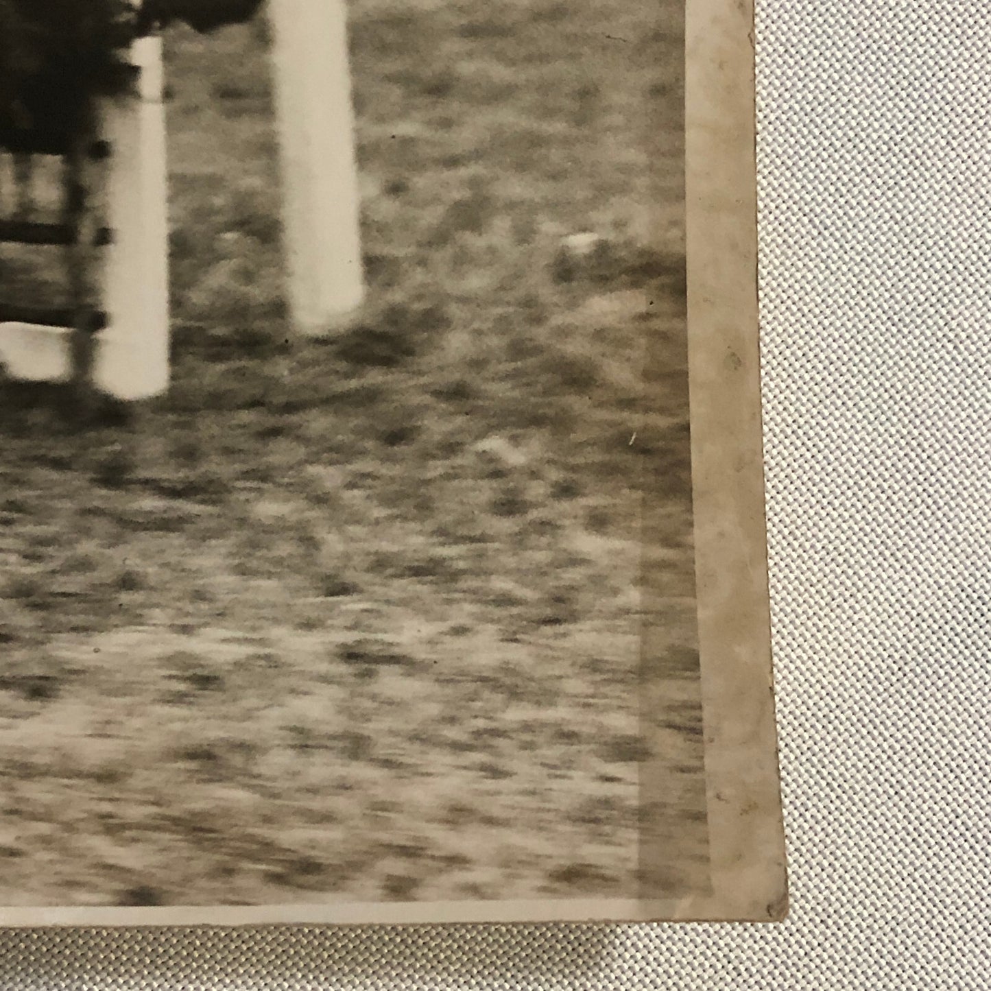 Press Photo Photograph Horse Racing Hurdle Race at Northelt Park London 1933
