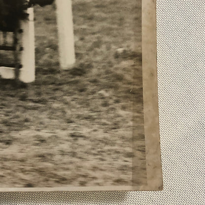 Press Photo Photograph Horse Racing Hurdle Race at Northelt Park London 1933