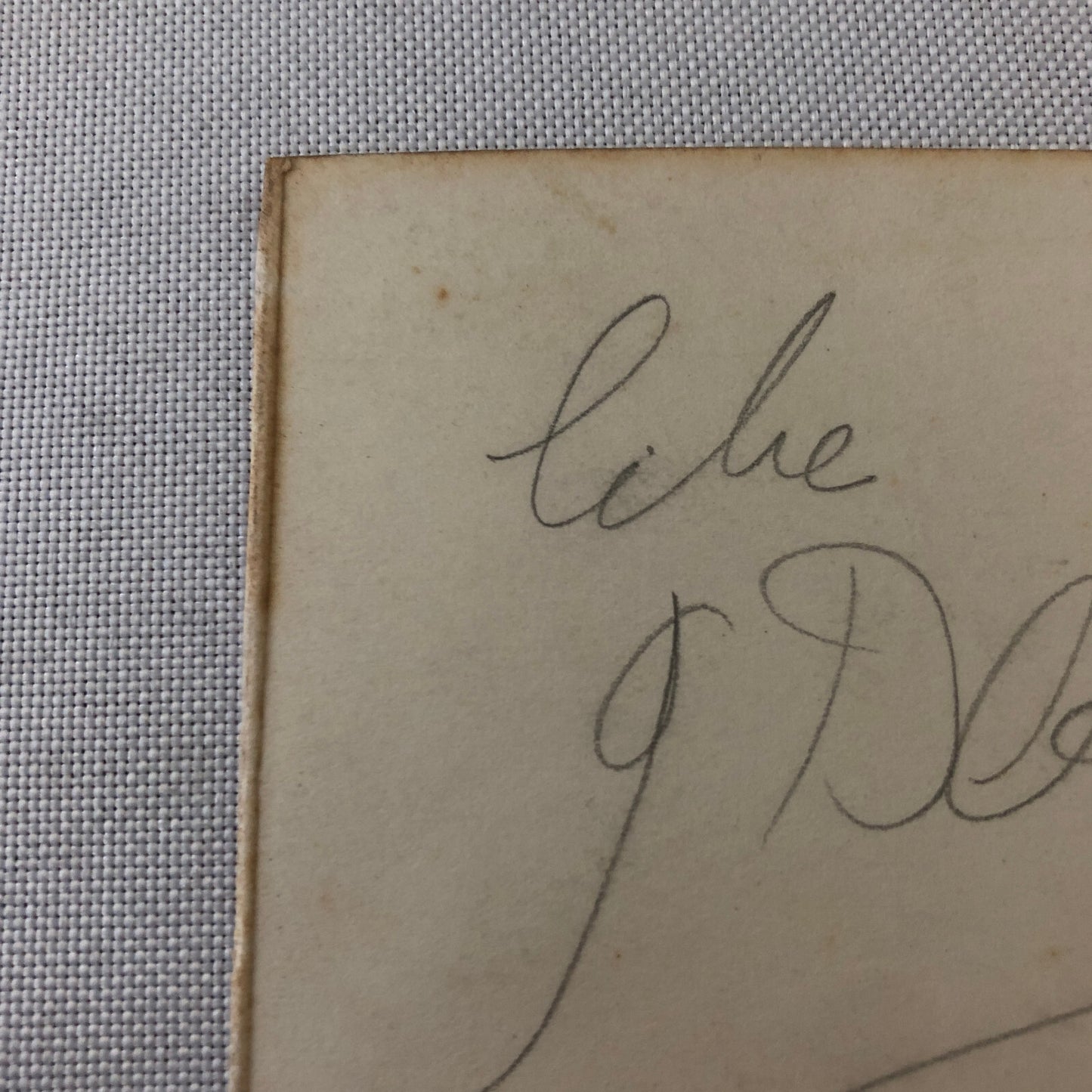 Circus Performer Photo Photograph Print Portrait Woman Vintage