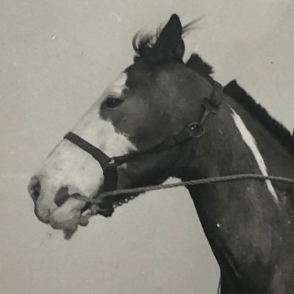 Native American Indian Aboriginal Man on Horseback Circus Photo Photograph
