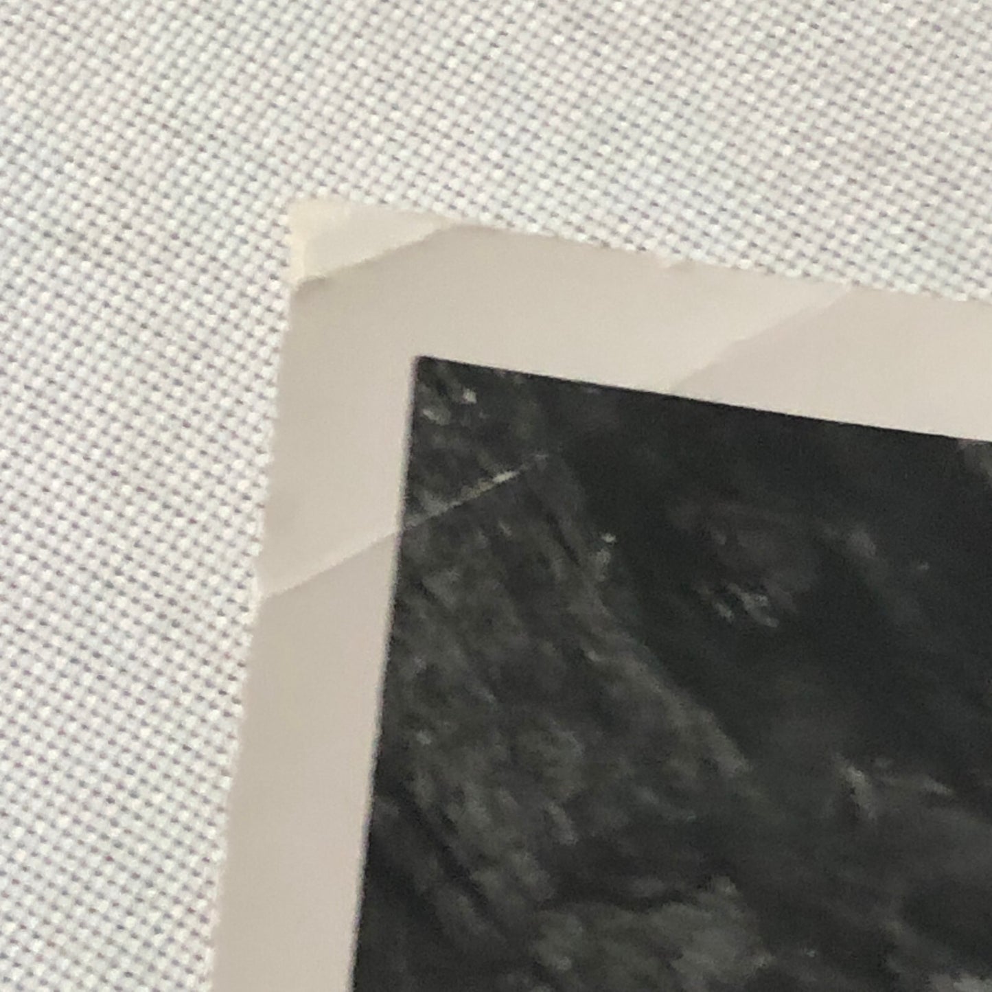 Vintage Volkswagen VW Beetle Bug Car Photo Photograph