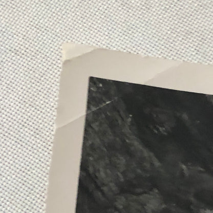 Vintage Volkswagen VW Beetle Bug Car Photo Photograph