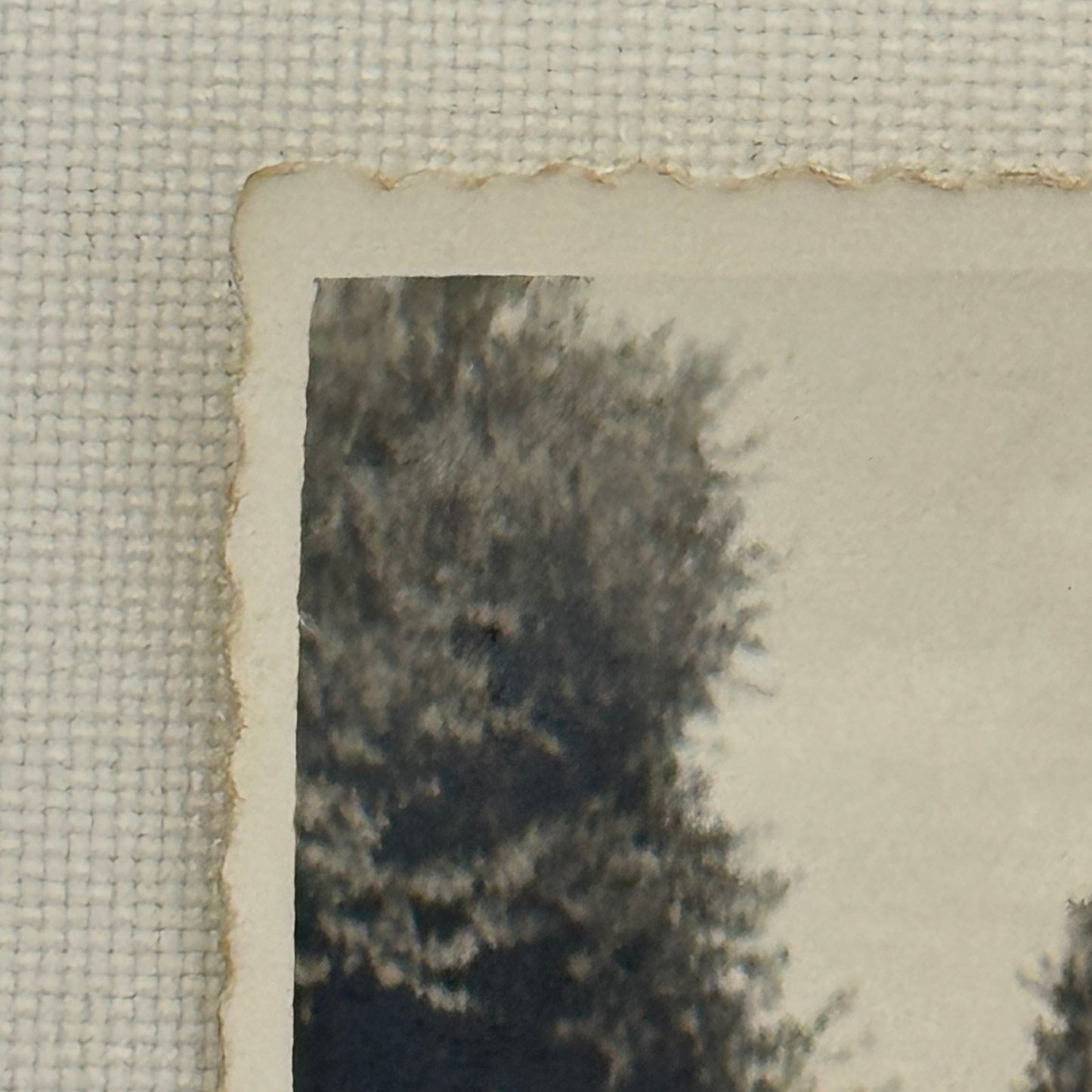 Vintage Racing Car Photo Automobile Motorsport Photograph Print