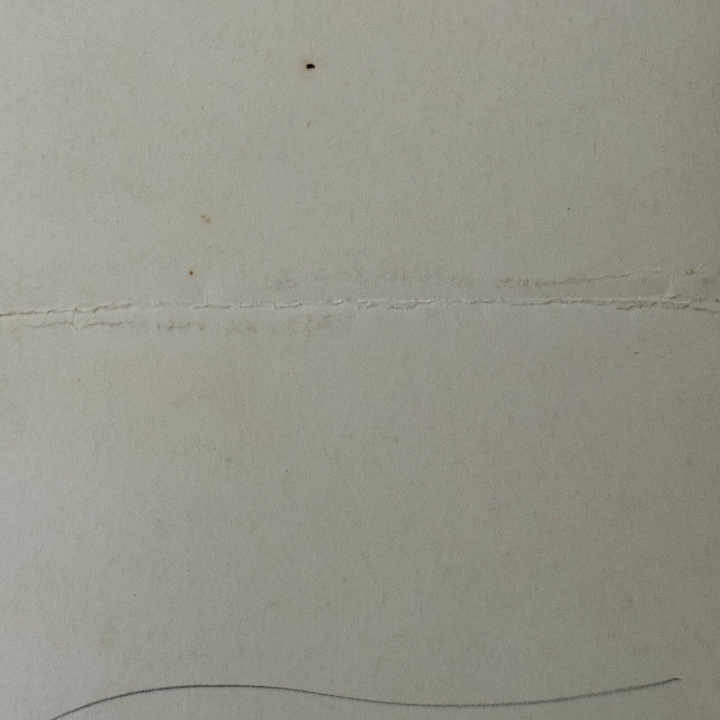 Vintage Circus Ice Skating Dancer Photo Photograph Print Skater Ice Dance