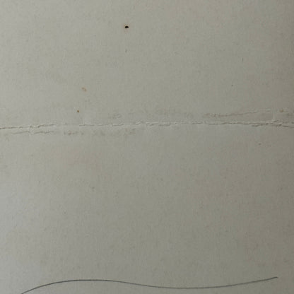 Vintage Circus Ice Skating Dancer Photo Photograph Print Skater Ice Dance