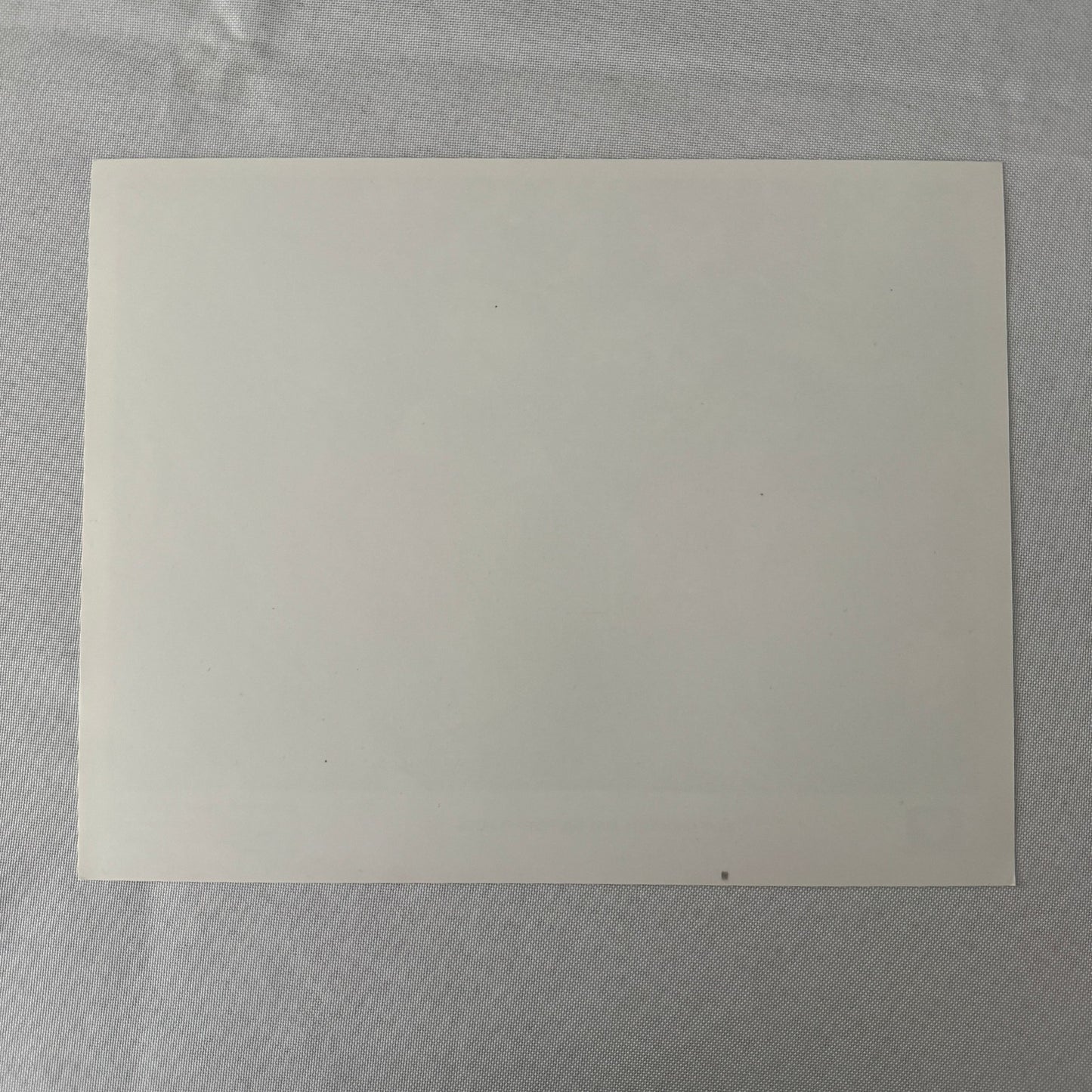 Disney Movie Still Press Photo Photograph Davy Crockett and the River Pirates