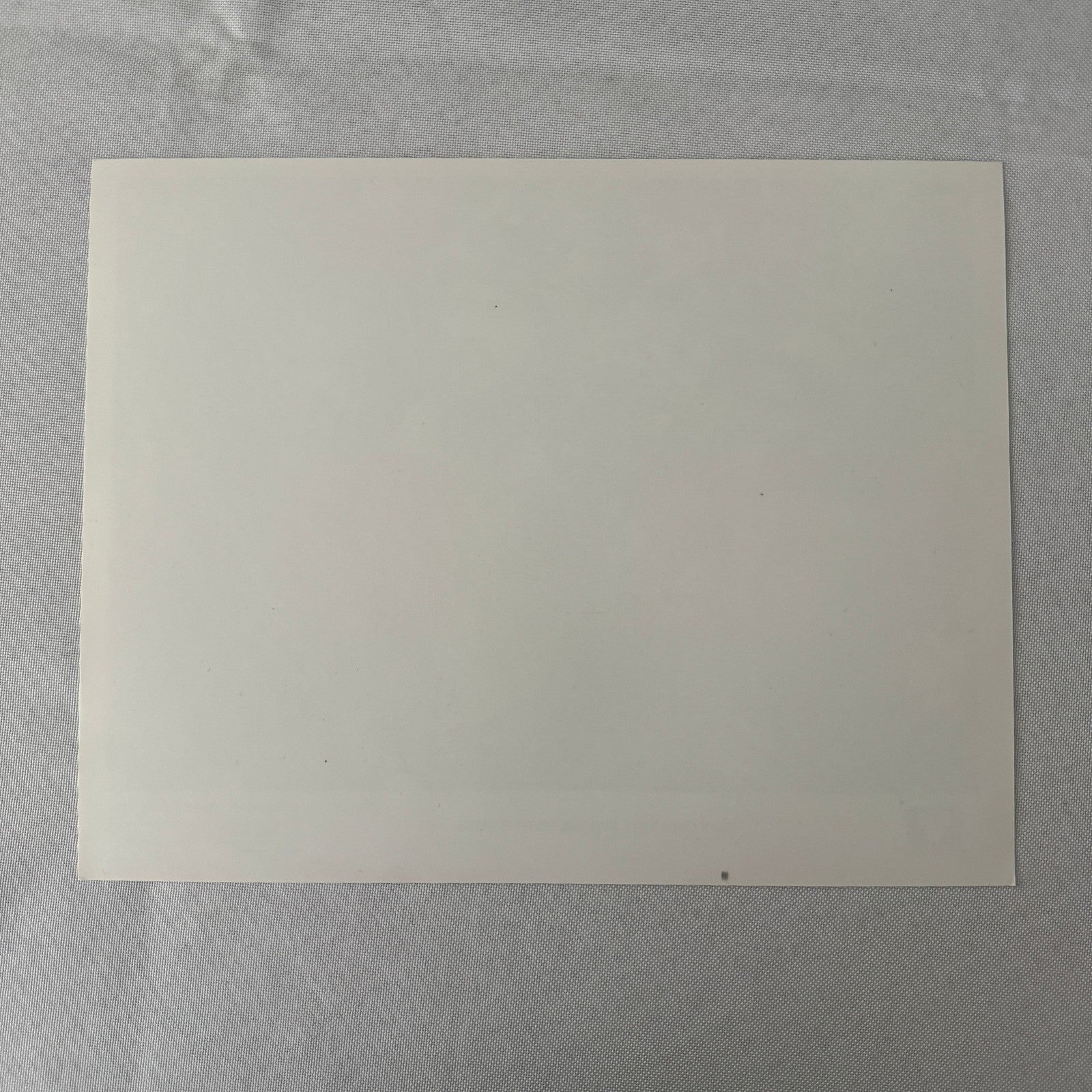 Disney Movie Still Press Photo Photograph Davy Crockett and the River Pirates