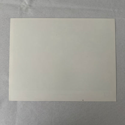 Disney Movie Still Press Photo Photograph Davy Crockett and the River Pirates