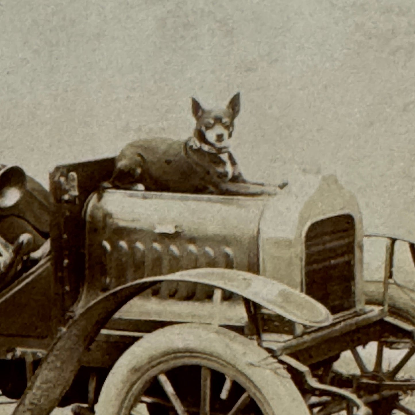 Vintage Real Photo Postcard Post Card RPPC Automobile Dog Man Woman