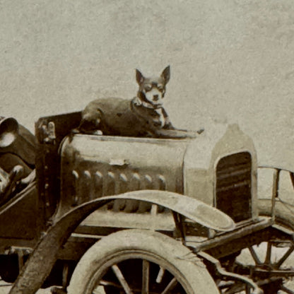 Vintage Real Photo Postcard Post Card RPPC Automobile Dog Man Woman