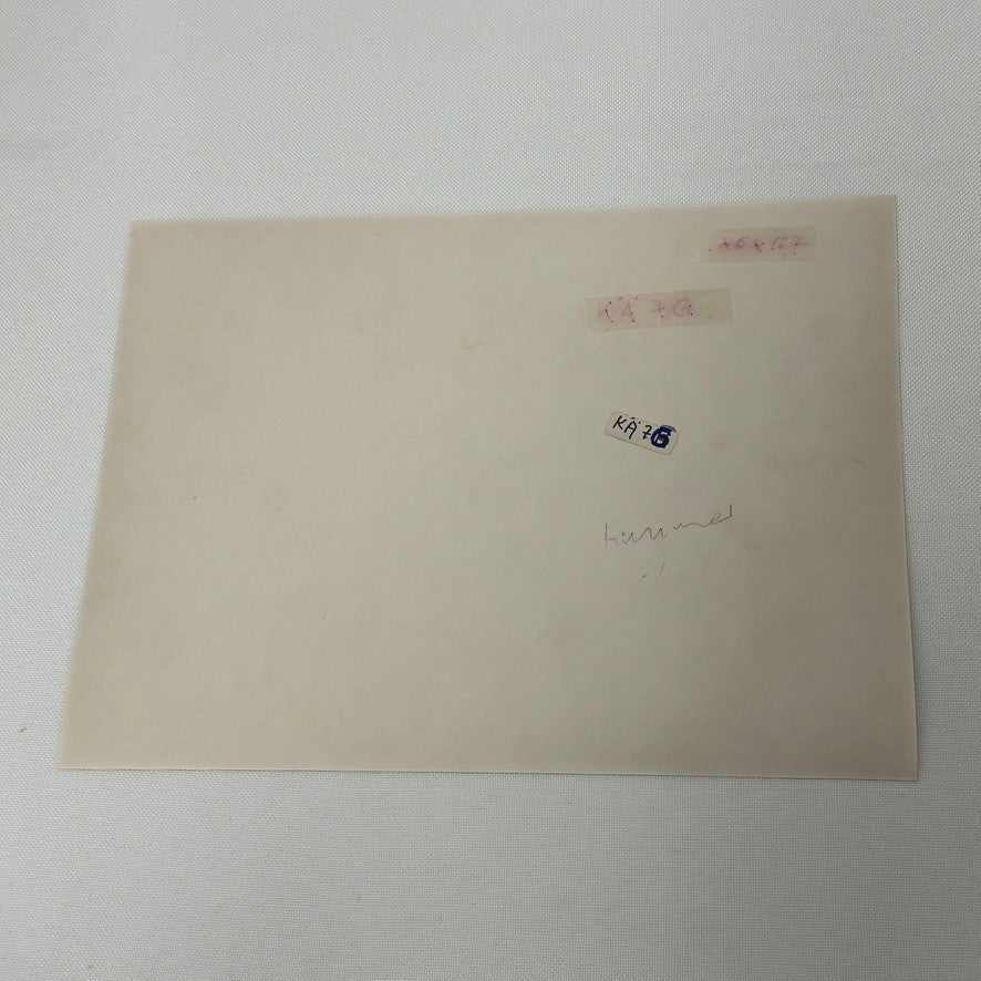 Vintage Volkswagen Beetle TUNER Car VW Bug Photo Photograph with Airplane Plane