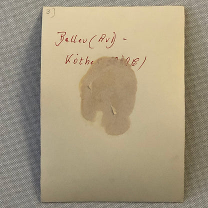 Vintage Racing Photo Photograph Unknown Officials - Tag AL18859