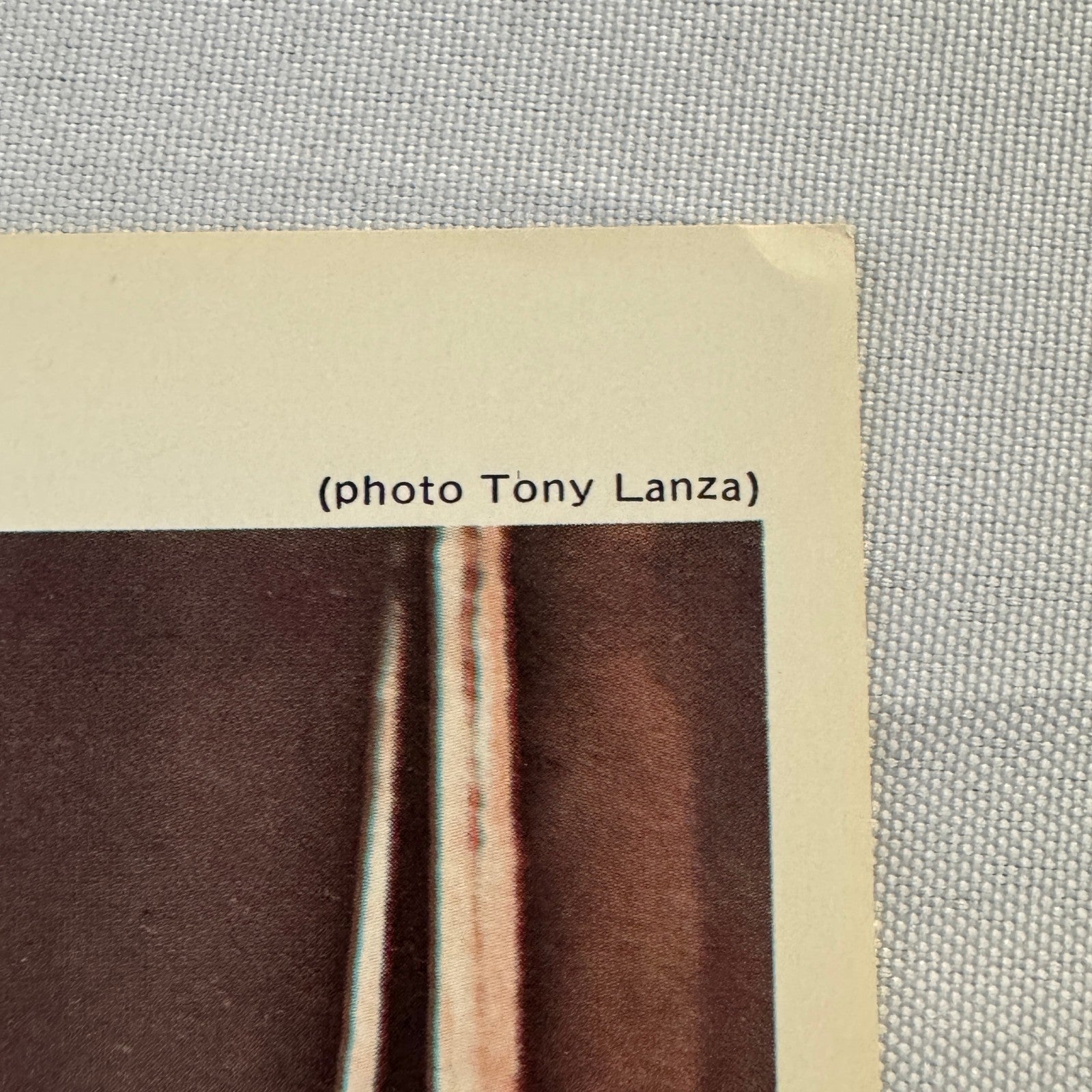 Vintage Wrestling Print Insert Yvon Robert Father and Son Quebec French 1973