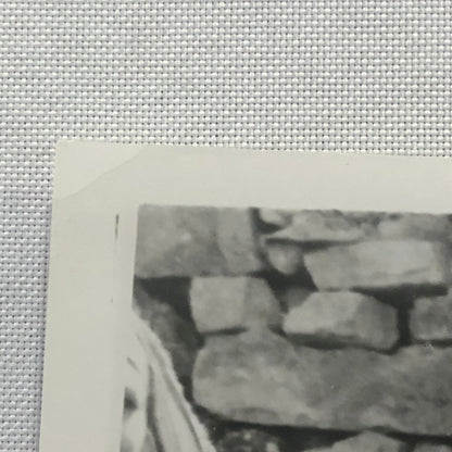 Katharine Hepburn Actress Photo Photograph Print Movie Still The Trojan Woman