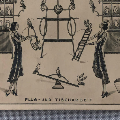 Circus Bird Training Act Postcard Post Card Gregory's Tauben Revue German