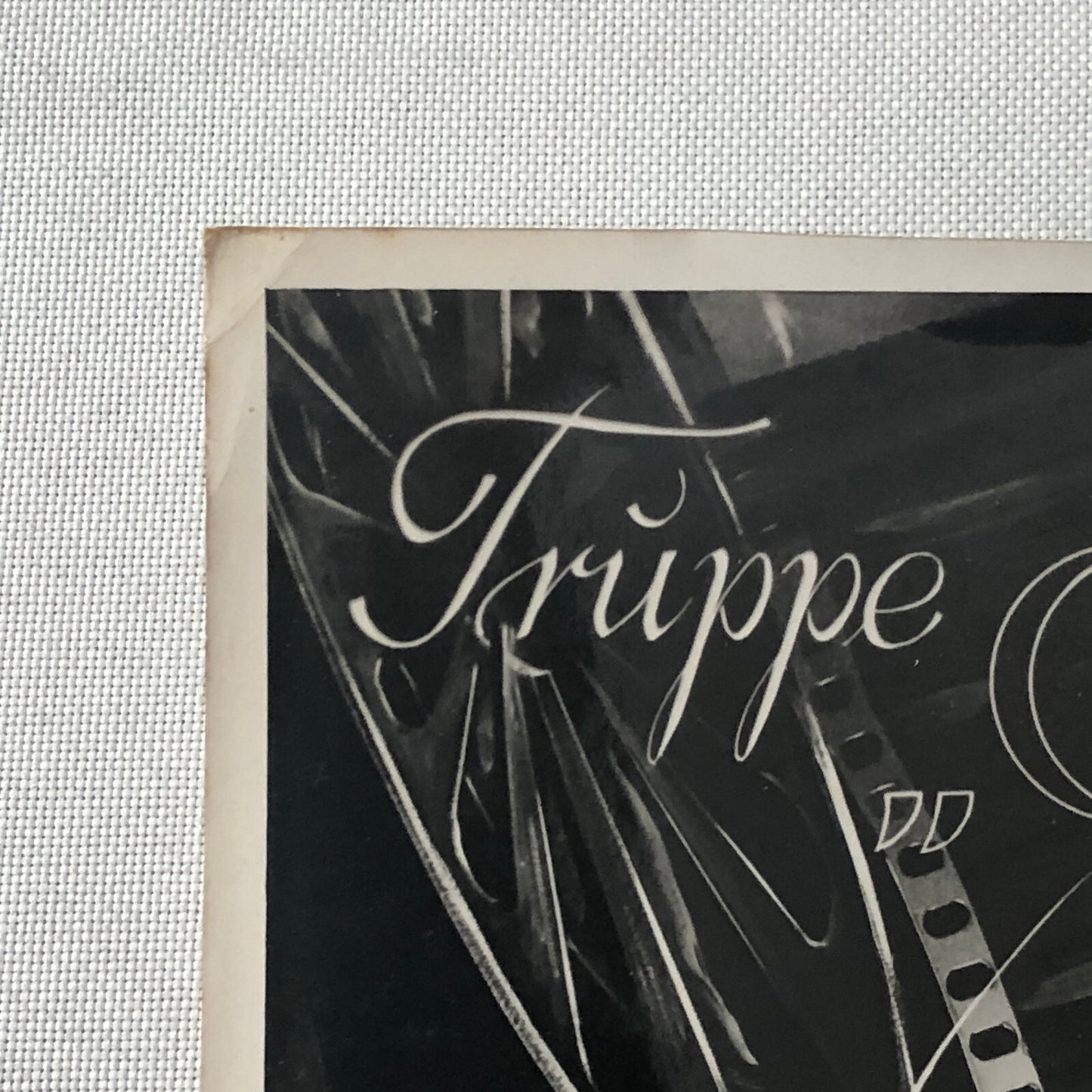 Circus Performer Wild West Show Rope Act Troupe Collins Vintage Photo German