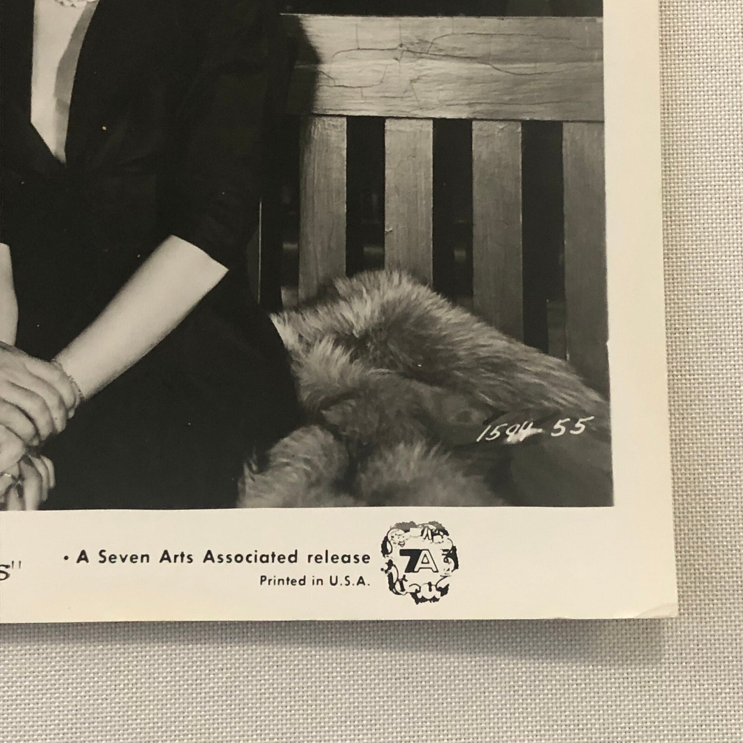 The Lady Gambles Movie Promotional Press Photo Photograph Barbara Stanwyck +