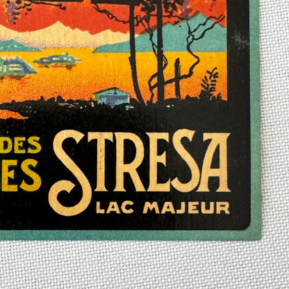 Vintage Hotel Travel Luggage Label Regina Palace Stresa Lac Majeur Italy