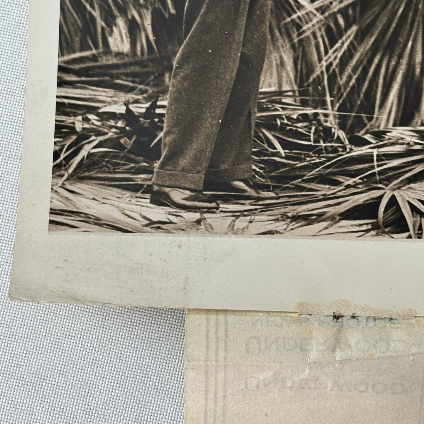 Press Photo Photograph Malcolm Campbell Racing Driver Daytona Beach Florida