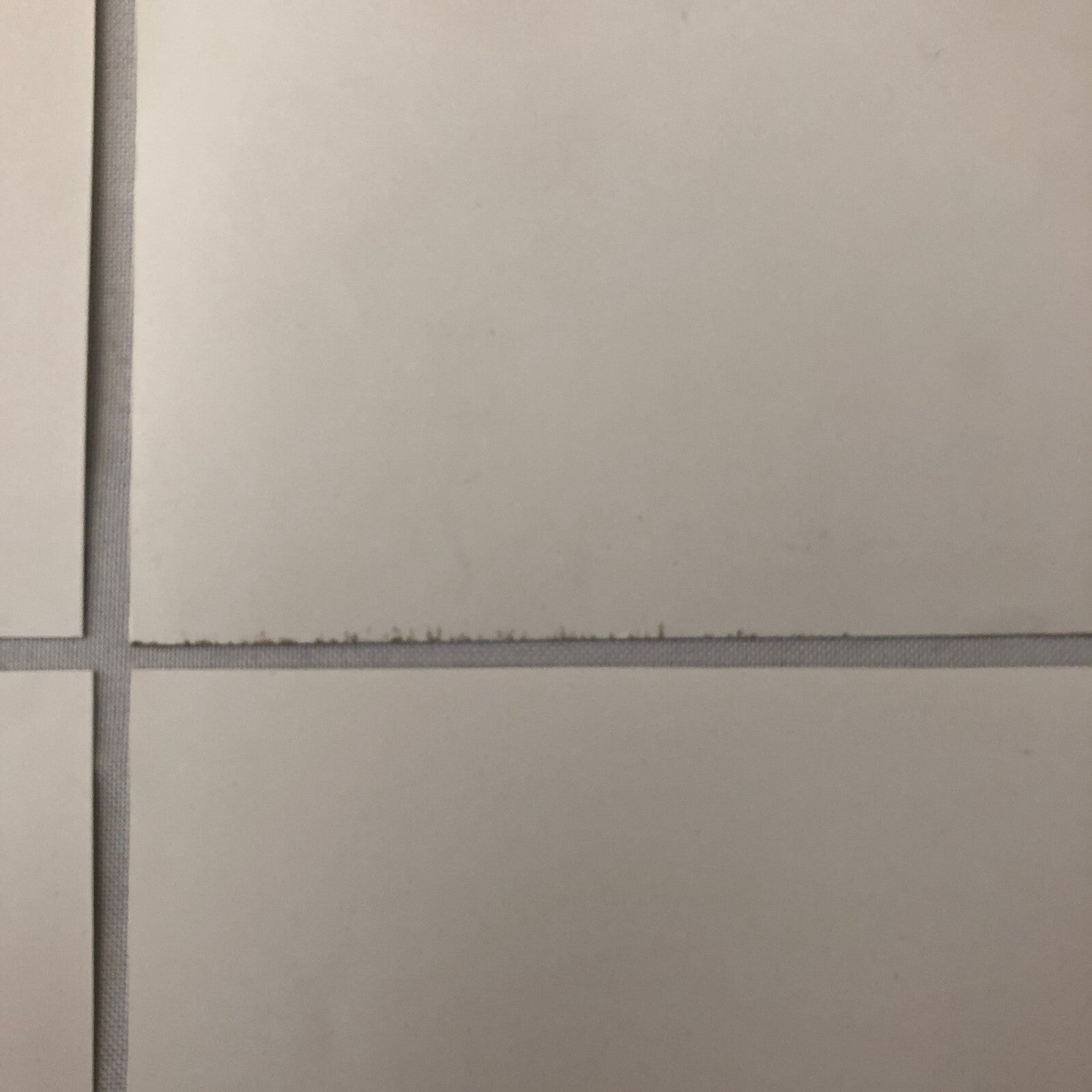 Porsche 911 Carrera Cabriolet Convertible Photo Photograph Lot of 4