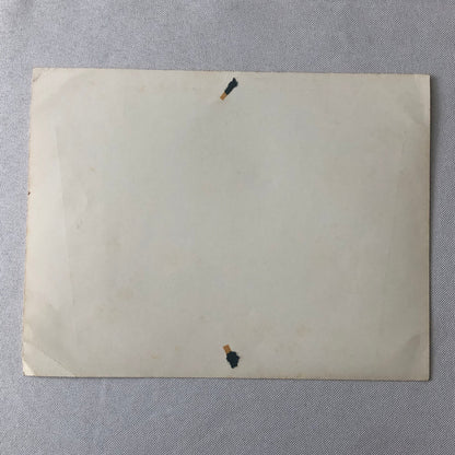 Circus Performer Bicycle Balancing Act Advertising Flyer Photo The Silvers