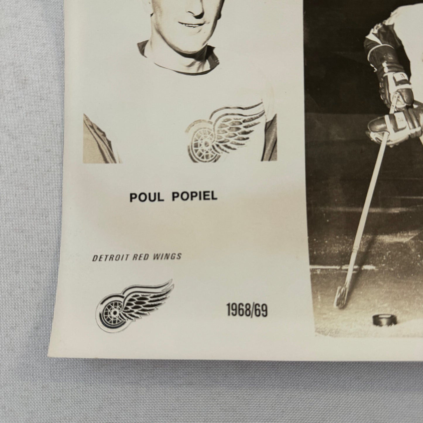Detroit Red Wings Poul Popiel Hockey Player Photo Photograph Vintage 1968 1969
