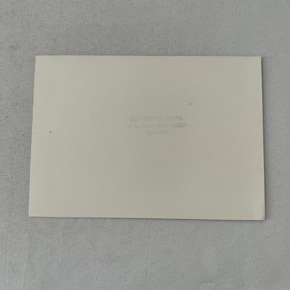 1980 Rallye Monte Carlo Press Photo Photograph DPPI Volkswagen VW Golf GTi