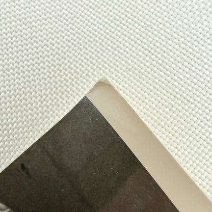 Francois Cevert Ken Tyrrell Brands Hatch 1970 Racing Photo Photograph March Ford