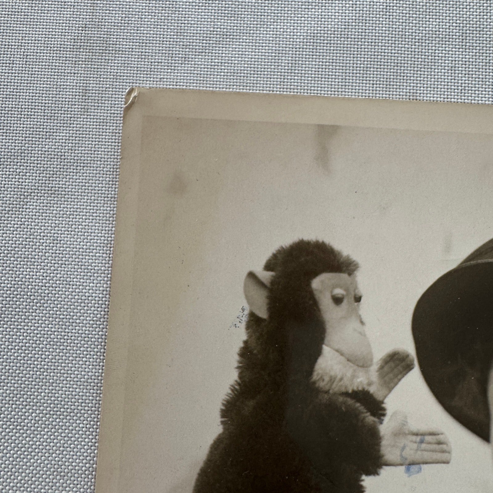 Vintage Press Photo Photograph 1923 Woman with Steiff Jocko Monkey Puppet
