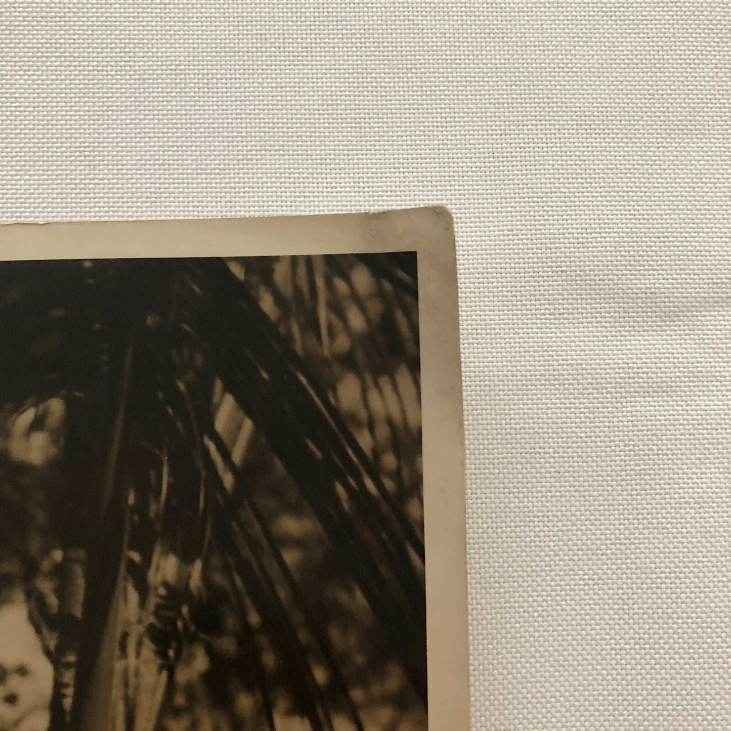 Press Photo Photograph Miami Beach Fashion Show Underwood and Underwood