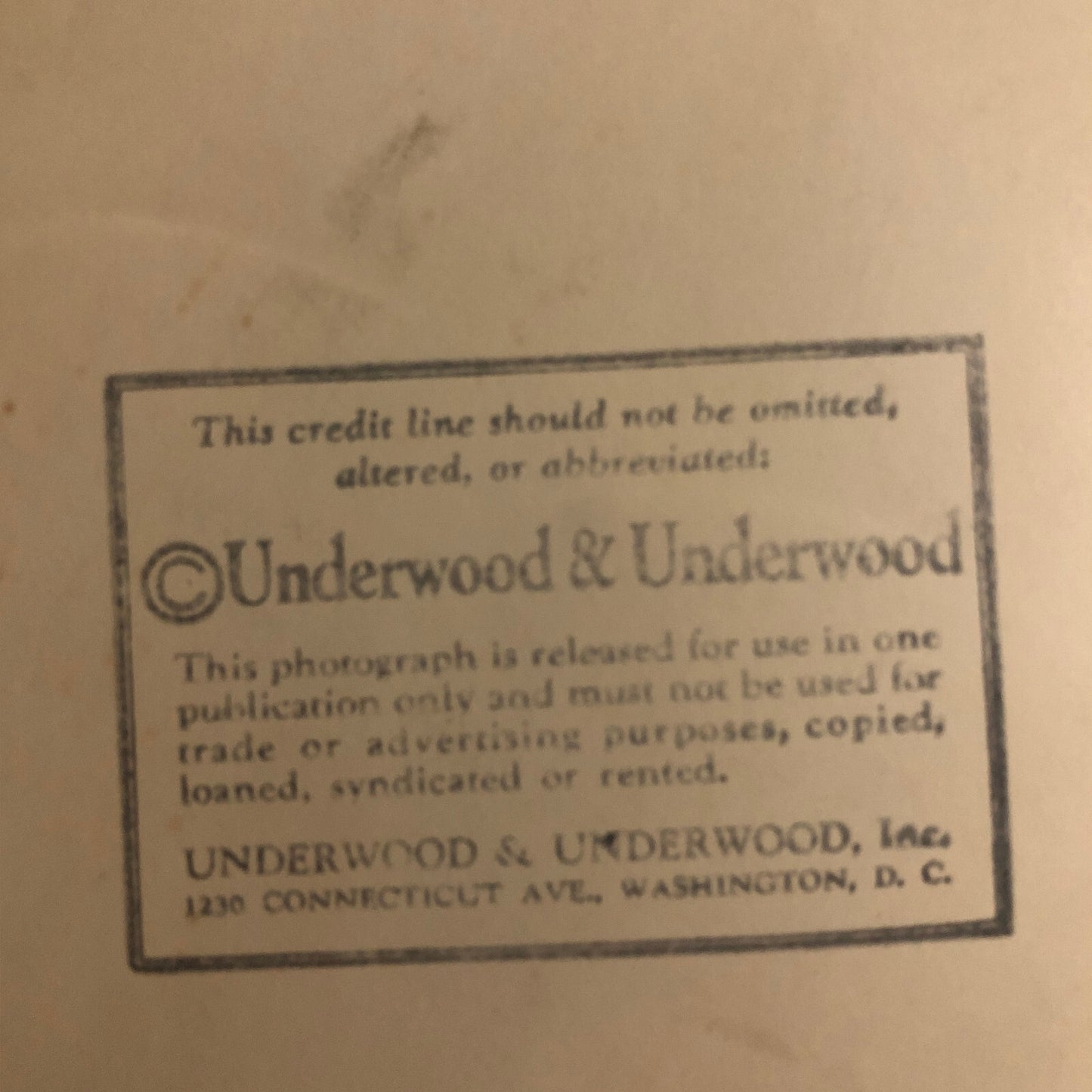 Press Photo Photograph Washington Society Leader 1929 Underwood & Underwood
