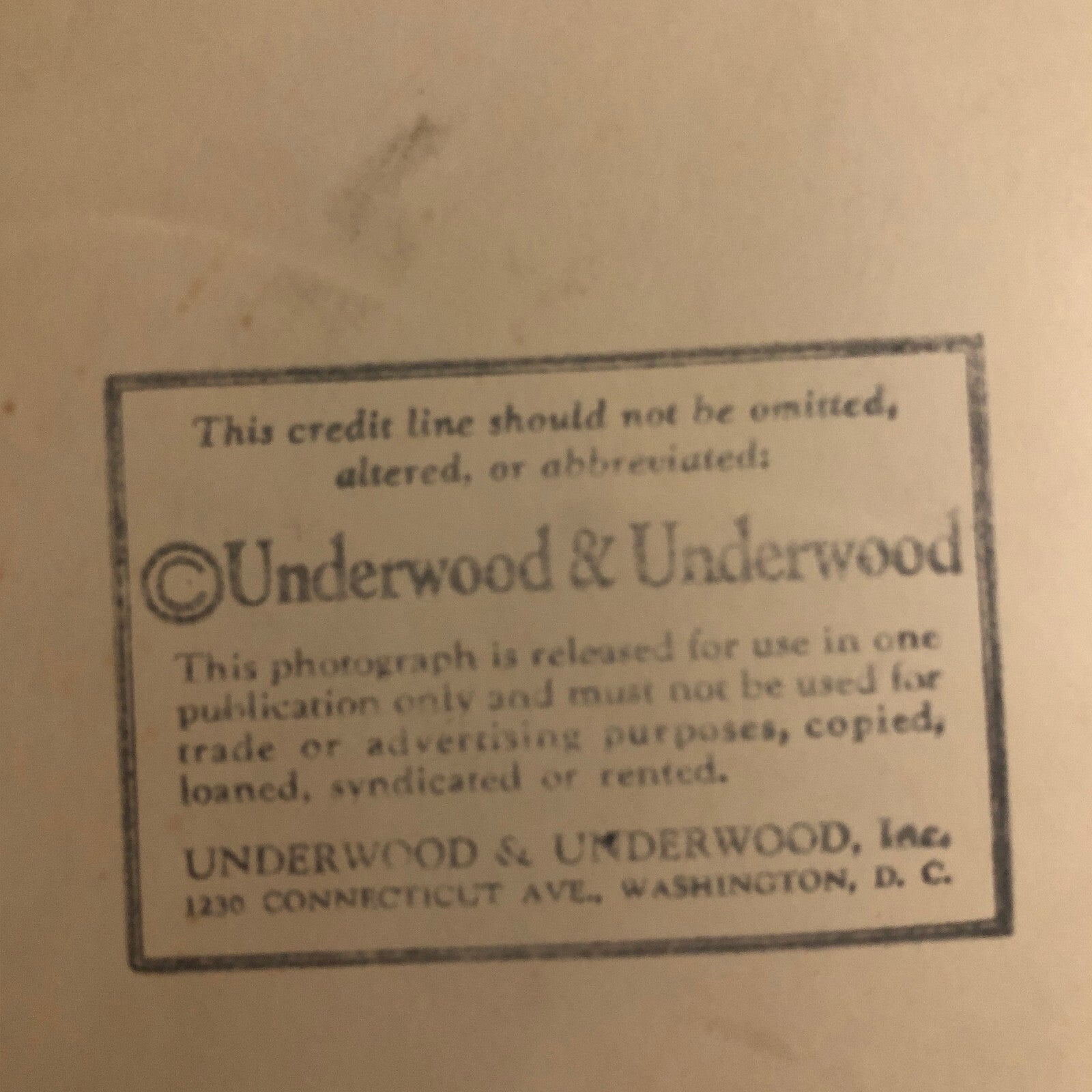 Press Photo Photograph Washington Society Leader 1929 Underwood & Underwood
