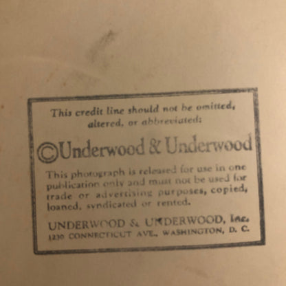 Press Photo Photograph Washington Society Leader 1929 Underwood & Underwood