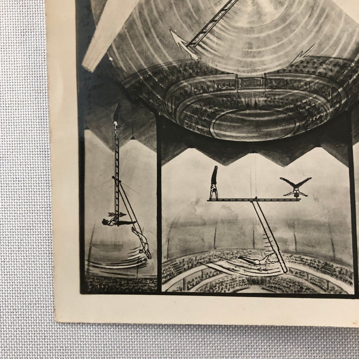 Circus Performer Acrobat Aerial Act Photo Photograph Tainy's Luft Sensation