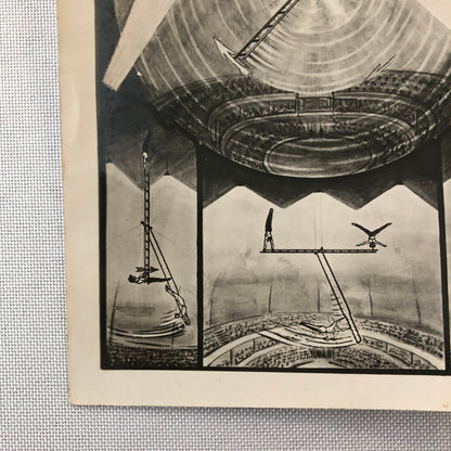 Circus Performer Acrobat Aerial Act Photo Photograph Tainy's Luft Sensation