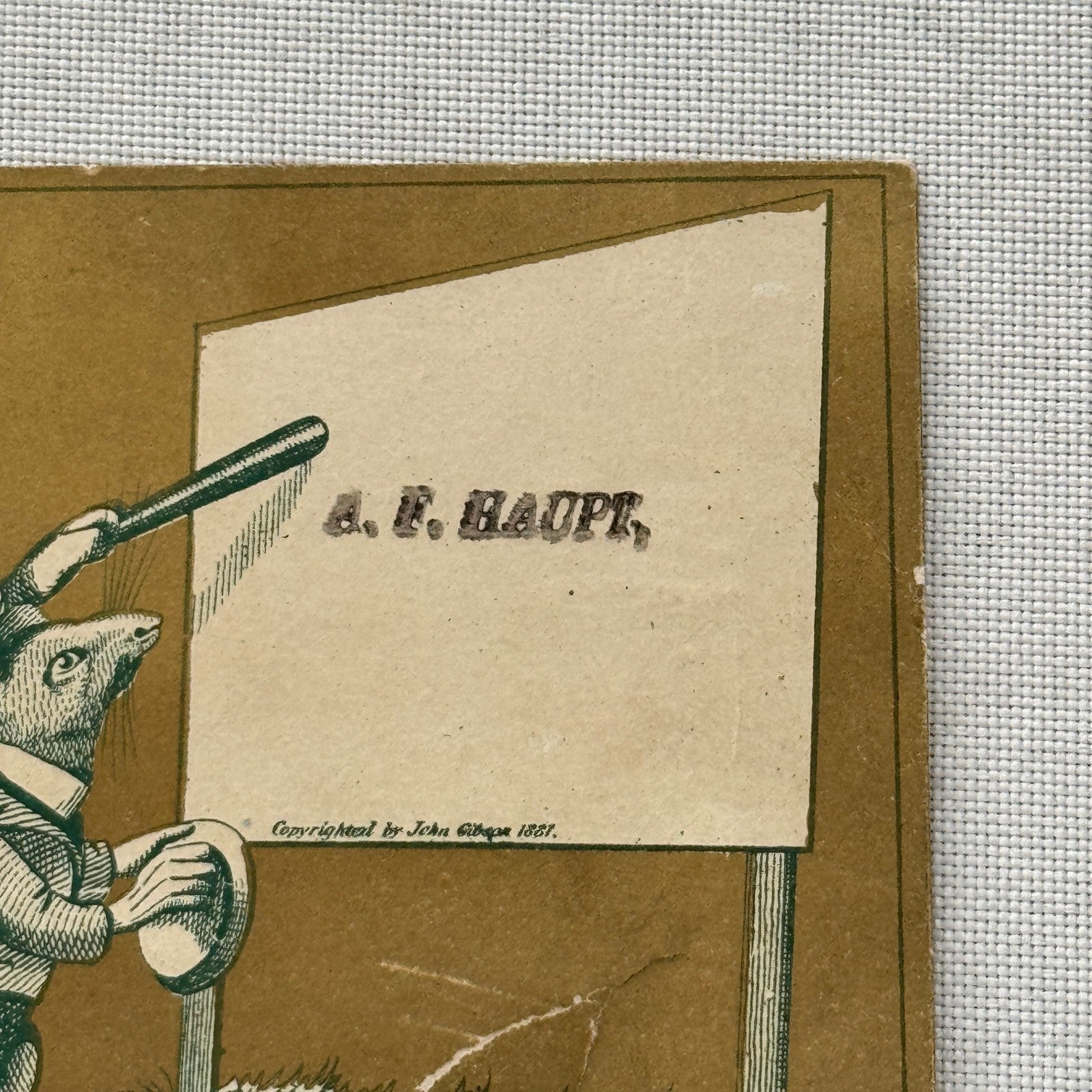 Victorian Trade Card Antique Cat Mouse John Gibson 1881